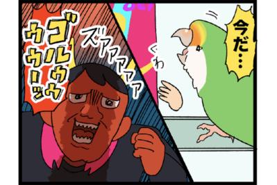 愛インコの変化に敏感な飼い主／ポスターをかじらないで！【鳥マンガ＃49】