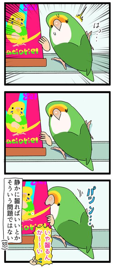 愛インコの変化に敏感な飼い主／ポスターをかじらないで！【鳥マンガ＃49】（サムネイル画像5）