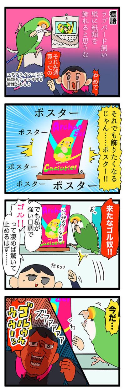 愛インコの変化に敏感な飼い主／ポスターをかじらないで！【鳥マンガ＃49】（サムネイル画像4）
