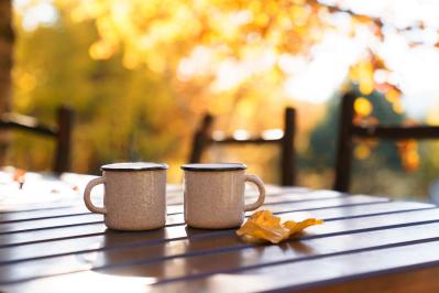 樋口一葉『あきあはせ』のあらすじ紹介。四季の移ろいと記憶が交錯する情緒豊かな短編小説