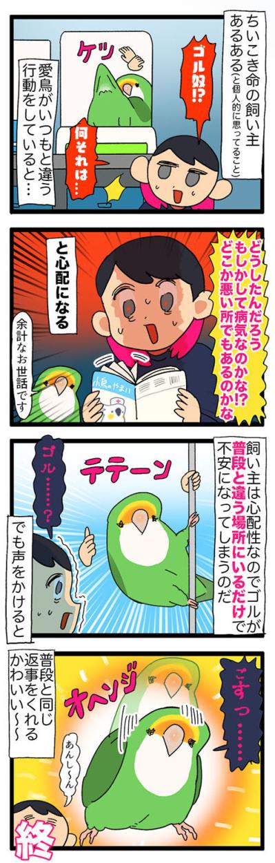愛インコの変化に敏感な飼い主／ポスターをかじらないで！【鳥マンガ＃49】（サムネイル画像3）