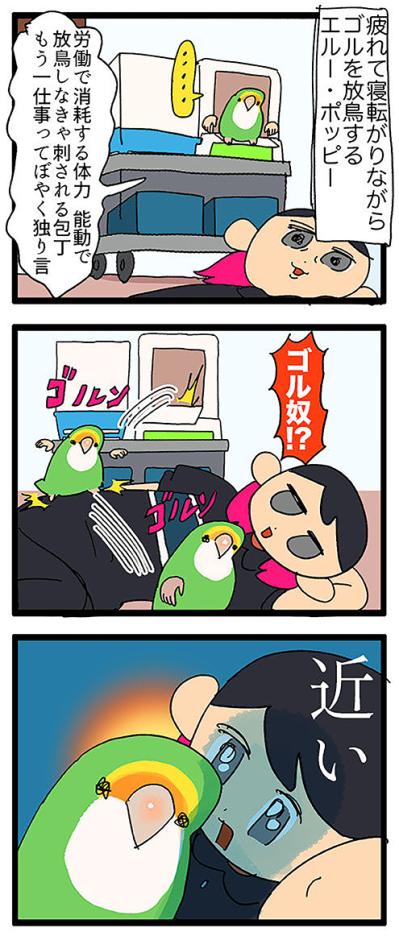温和なインコ・パルちゃんの思い出／女帝インコ近い…（かわいいけど怖い）　【鳥マンガ＃47】（サムネイル画像6）