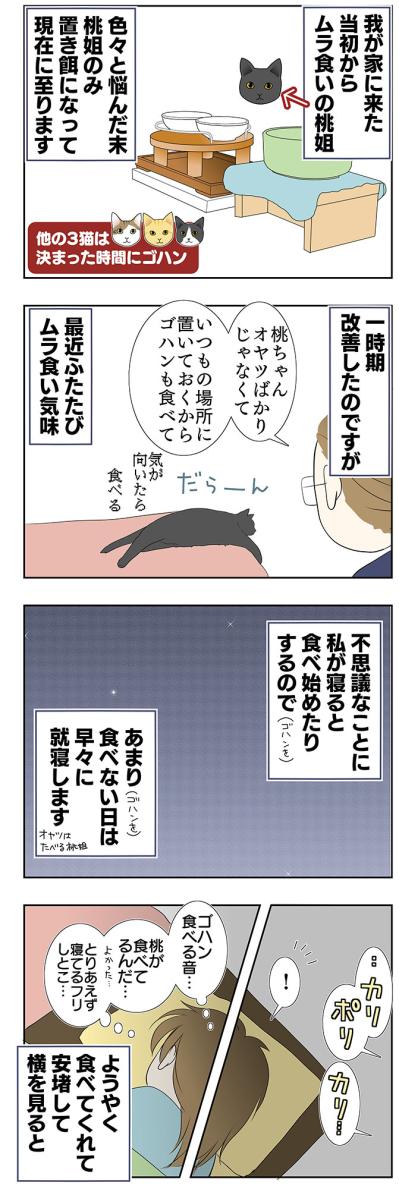 【老猫マンガ】猫、つまみ食いをする。18歳の元保護猫・桃姐［＃32］（サムネイル画像2）