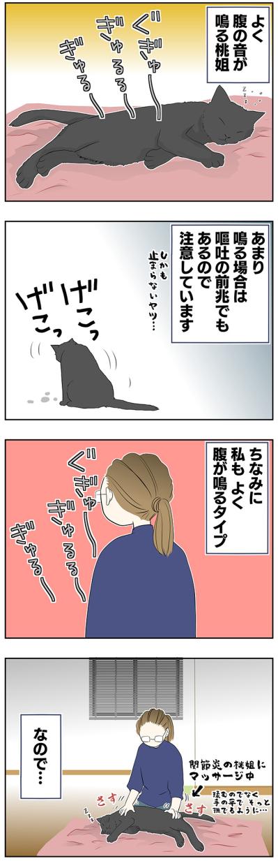 【マンガ・老猫日誌＃31】共鳴する猫と飼い主…19歳の元保護猫・桃姐（サムネイル画像2）
