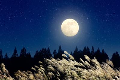 樋口一葉の『暁月夜』あらすじ紹介。未練と宿命が行き交う恋模様が、夜の月明かりのもとで静かに展開