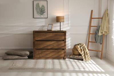 マン パウル・トーマスの『衣装戸棚』あらすじ紹介。「衣裳戸棚」の中に裸の女性が！？現実か幻想か、読み手も惑わす名作