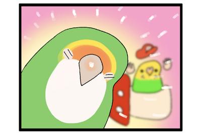 ほんの数秒でも飼い主を探すインコ／同居インコに嫉妬するゴルちゃん【鳥マンガ＃52】