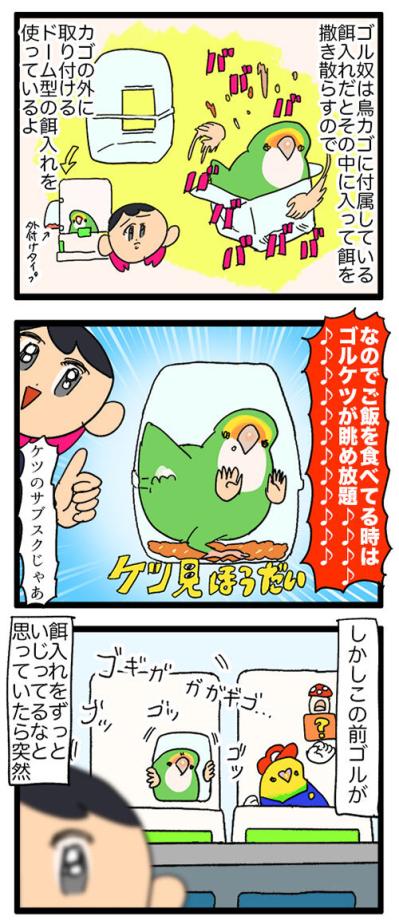 女帝インコのちょっと横暴なエピソード2選…見ていると不意打ち食らいがち【鳥マンガ＃53】（サムネイル画像3）
