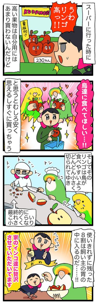 愛インコの写真撮影で失敗した理由／インコ達からもらうおこぼれがおいしい【鳥マンガ＃50】（サムネイル画像5）