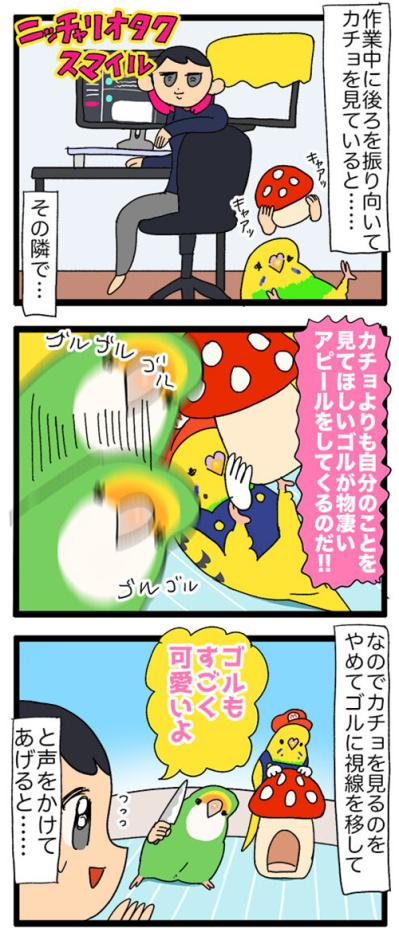 ほんの数秒でも飼い主を探すインコ／同居インコに嫉妬するゴルちゃん【鳥マンガ＃52】（サムネイル画像6）