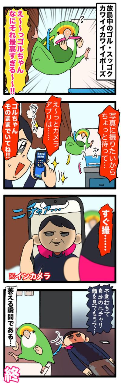 愛インコの写真撮影で失敗した理由／インコ達からもらうおこぼれがおいしい【鳥マンガ＃50】（サムネイル画像4）