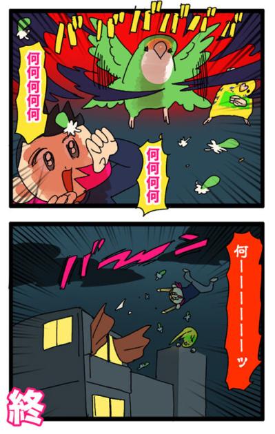 女帝インコのちょっと横暴なエピソード2選…見ていると不意打ち食らいがち【鳥マンガ＃53】（サムネイル画像6）