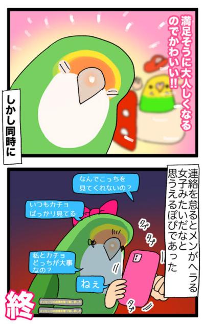 ほんの数秒でも飼い主を探すインコ／同居インコに嫉妬するゴルちゃん【鳥マンガ＃52】（サムネイル画像7）