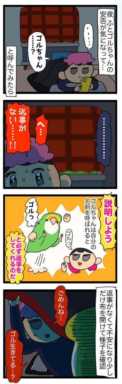 インコが自分の羽を！？ストレスサイン「毛引き」とは？／夜中に飼い主が声を掛けると…【鳥マンガ＃51】（サムネイル画像5）