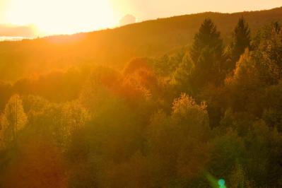 織田作之助の『秋深き』あらすじ紹介。人里離れた温泉地で巻き込まれる事件とは？人間観察が堪能できる名作