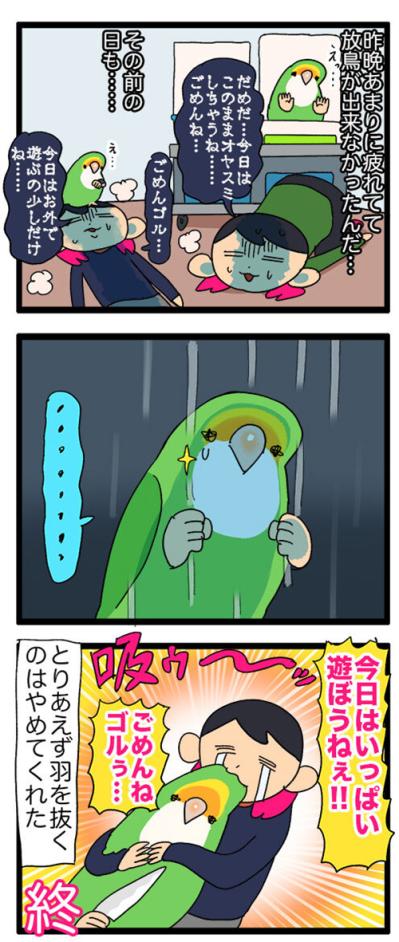 インコが自分の羽を！？ストレスサイン「毛引き」とは？／夜中に飼い主が声を掛けると…【鳥マンガ＃51】（サムネイル画像4）