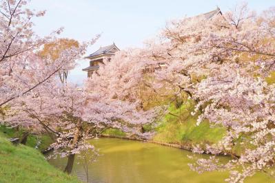 河原での水切りは1回！？和平（中井貴一）はコントロールは悪いがいいプレーをしたと思う【続続・最後から二番目の恋】第6話レビュー （サムネイル画像2）
