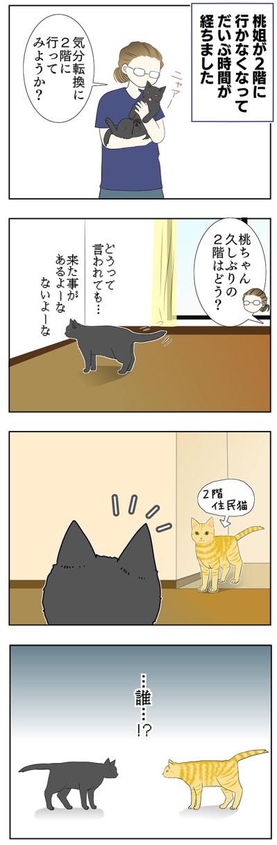 【老猫マンガ】猫、互いの存在を忘れる？ 18歳の元保護猫・桃姐［＃34］（サムネイル画像2）