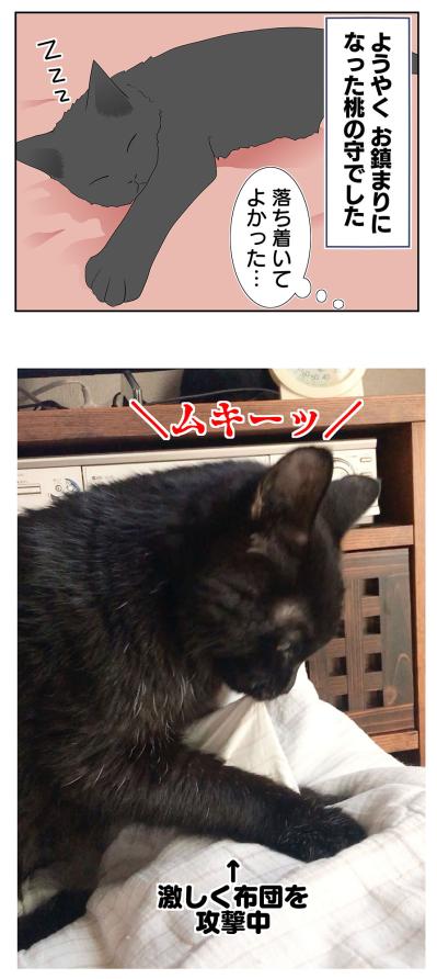 【マンガ・老猫日誌＃35】病院に連れて行ったあと荒れまくる猫…19歳の元保護猫・桃姐（サムネイル画像4）