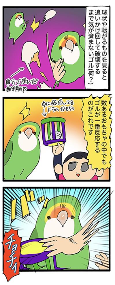 インコが触られて良いところ・悪いところ／暴れるインコが楽しそう【鳥マンガ＃55】（サムネイル画像5）