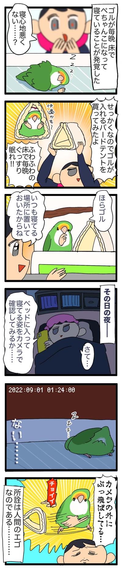 女帝インコにバードテントを買ったよ／インコの怖がる色は？【鳥マンガ＃57】（サムネイル画像3）