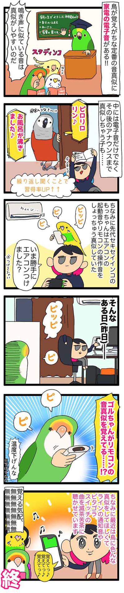女帝インコが覚えた音真似／食事中のインコに声を掛けたら？【鳥マンガ＃54】（サムネイル画像3）