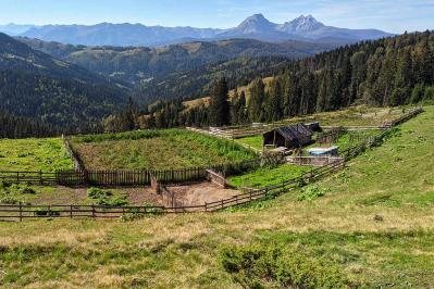 高村光太郎の『開墾』あらすじ紹介。「無理をしない」現代にも通じる、農業哲学を学ぶ