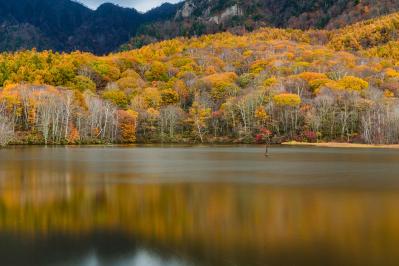 田山花袋の『秋の岐蘇路』あらすじ紹介。大自然と古の香りを追う旅物語