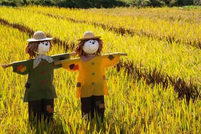 夢野久作の『雨ふり坊主』あらすじ紹介。子どもの純粋な祈りが自然を変える感動の物語