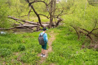 宮沢賢治の『あけがた』あらすじ紹介。幻想的で感覚的な世界を旅する物語
