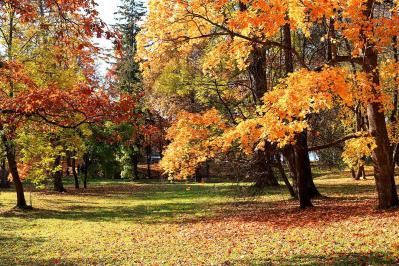 萩原朔太郎の『秋の日』あらすじ紹介。孤独と平和が交錯する珠玉の短編詩とは？