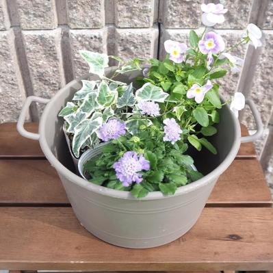 ガーデニングに最適な季節♪届いたらすぐに始められる【最大19％OFF】重くて大きい物は 【Amazonタイムセール】で！（サムネイル画像4）