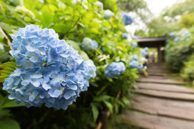 現実の“しんどさ”が際立つ典子（飯島直子）に共感！「続・続・最後から二番目の恋」は今の私たちに刺さる 第7話レビュー（サムネイル画像2）