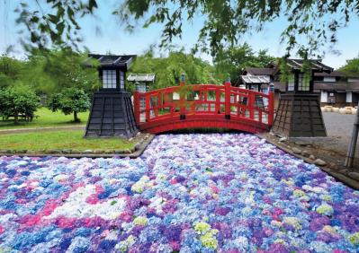 松前藩屋敷（サムネイル画像）