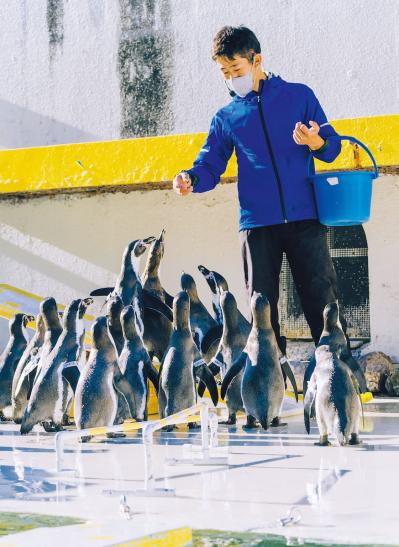 おたる水族館（サムネイル画像）