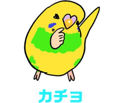 甘えん坊女帝インコにご用心！／インコのおかげで来年の1～3月がない【鳥マンガ＃60】（サムネイル画像3）