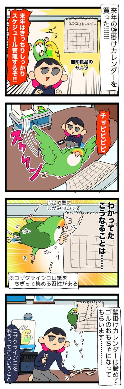甘えん坊女帝インコにご用心！／インコのおかげで来年の1～3月がない【鳥マンガ＃60】（サムネイル画像5）