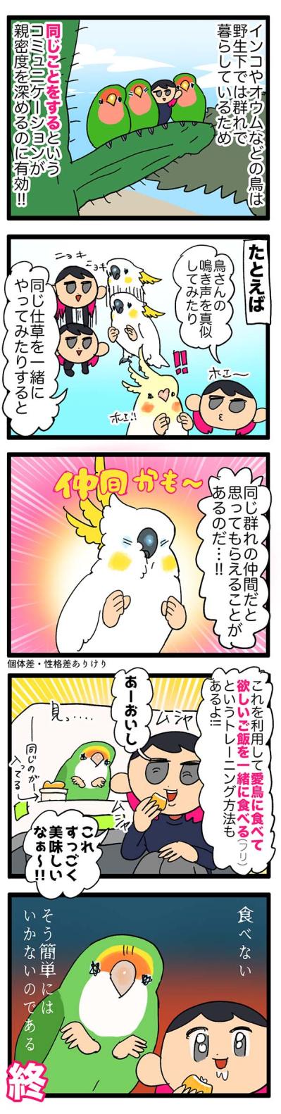 インコがバードテントを気に入ってくれた／愛鳥の好き嫌いを直す方法【鳥マンガ＃58】（サムネイル画像4）