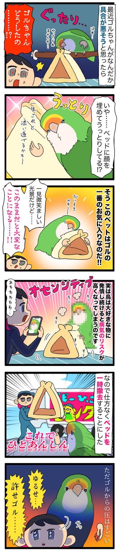 インコに命の危険が？！バードテントを撤去した理由は？【鳥マンガ＃61】（サムネイル画像3）