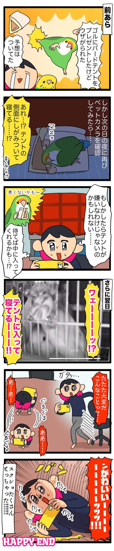 インコがバードテントを気に入ってくれた／愛鳥の好き嫌いを直す方法【鳥マンガ＃58】（サムネイル画像3）