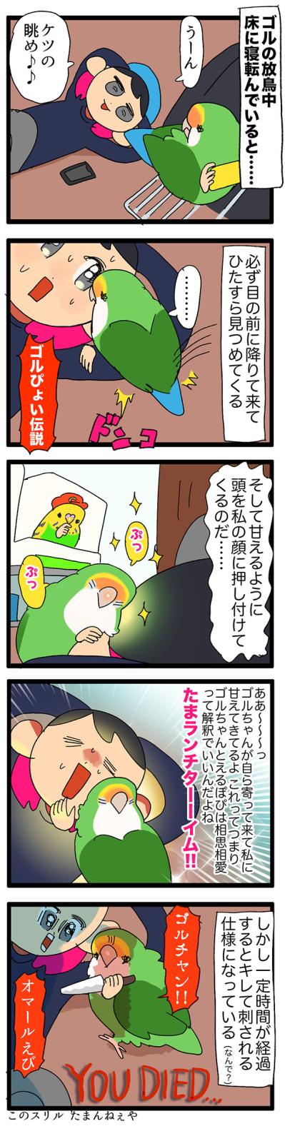 甘えん坊女帝インコにご用心！／インコのおかげで来年の1～3月がない【鳥マンガ＃60】（サムネイル画像4）