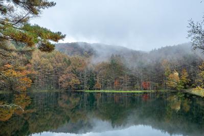 正岡子規の『かけはしの記』あらすじ紹介。旅情溢れる日本の美が細やかに描かれる