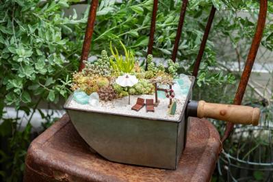 【ガーデニング】kurumiさんが提案！夏でも楽しめるサボテン・多肉植物の寄せ植え（サムネイル画像3）