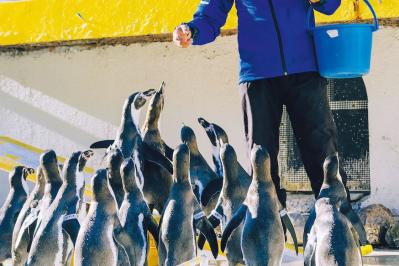 【夏の北海道旅】かわいい動物や大自然と出会える「札幌・小樽エリア」とっておき名所3選