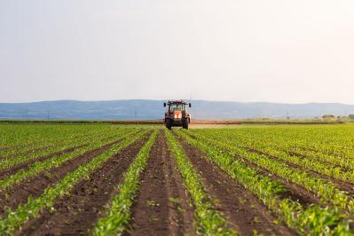 吉川英治の『鬼』あらすじ紹介。「鬼」と化し殉職した侍の一生。鋼の魂と涙、壮絶な生き様