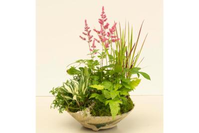 【ガーデニング】おしゃれで涼しげ！ 初夏の「和モダン寄せ植え」（サムネイル画像）