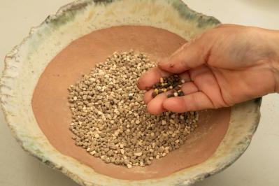 【ガーデニング】おしゃれで涼しげ！ 初夏の「和モダン寄せ植え」（サムネイル画像12）