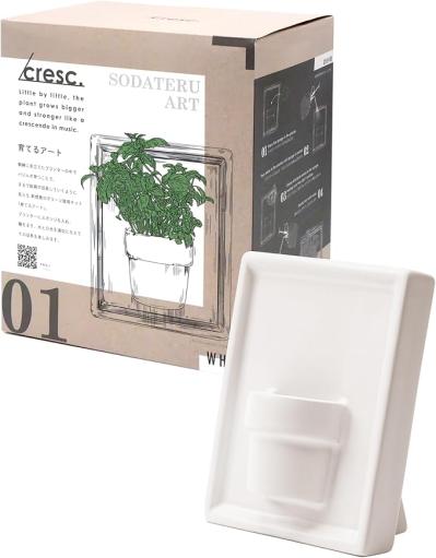 家庭菜園を始めてみるなら【最大20％OFF】栽培キット、種、育苗ポットも【Amazonタイムセール】（サムネイル画像3）