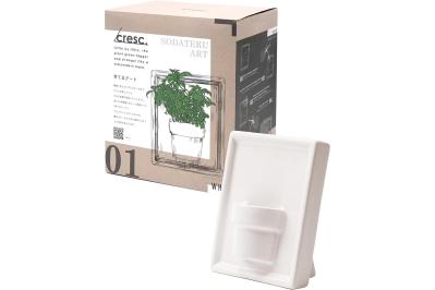 家庭菜園を始めてみるなら【最大20％OFF】栽培キット、種、育苗ポットも【Amazonタイムセール】