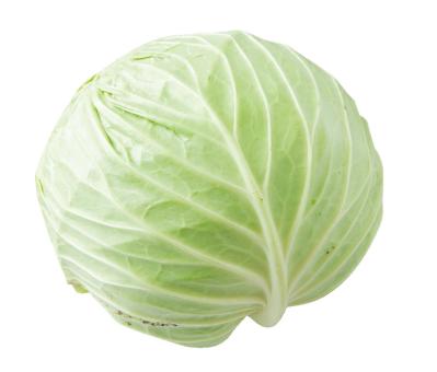  体内にたまった毒が【認知症】の原因の1つ!?  毒素排出効果のある食べ物を長寿研究の第一人者・白澤卓二さんが解説（サムネイル画像9）